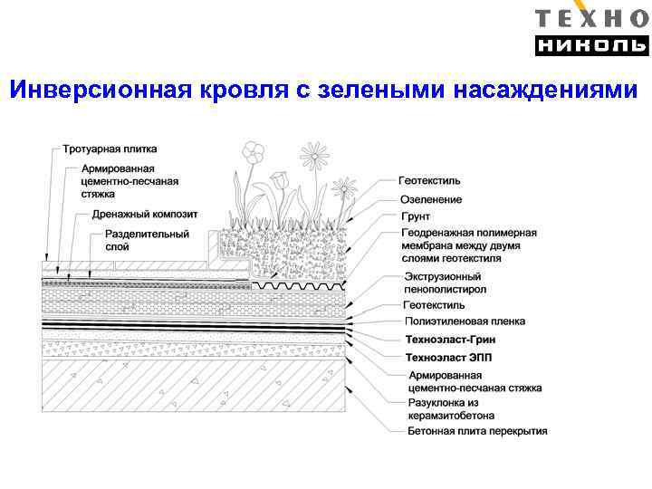 Эксплуатируемая кровля схема