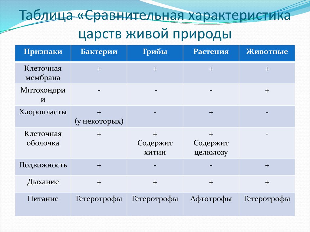 Составьте план для сравнительной характеристики шурика и сергея что у них общего и чем различаются