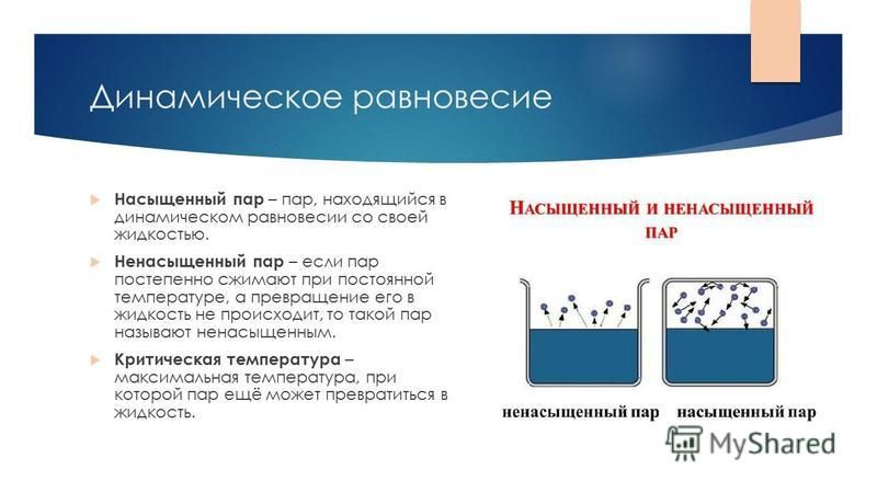 Динамическое равновесие жидкость пар