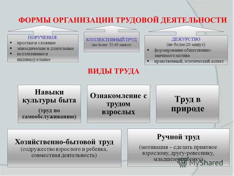 Оплата труда в доу. Труд и виды трудовой деятельности. Формы организации трудовой деятельности. Коллективные формы организации труда. Виды трудовой деяткльност.