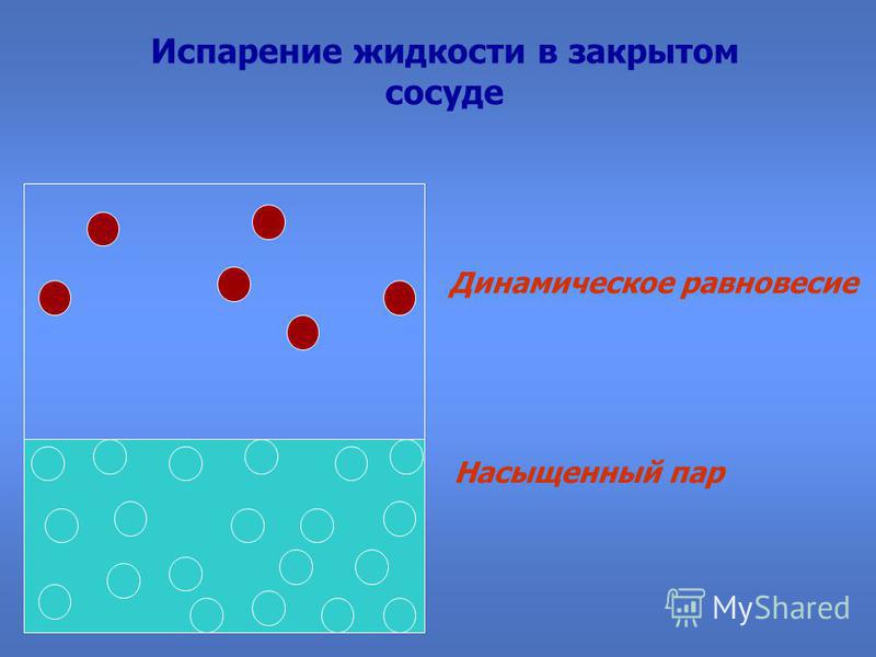 Динамическое равновесие со своей жидкостью