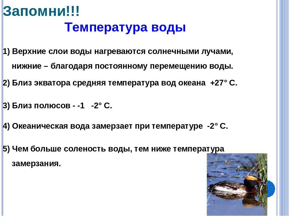 Изменение температуры воды в океане. Температура воды. Температура вод мирового океана. Определение температуры воды. Температура морской воды.