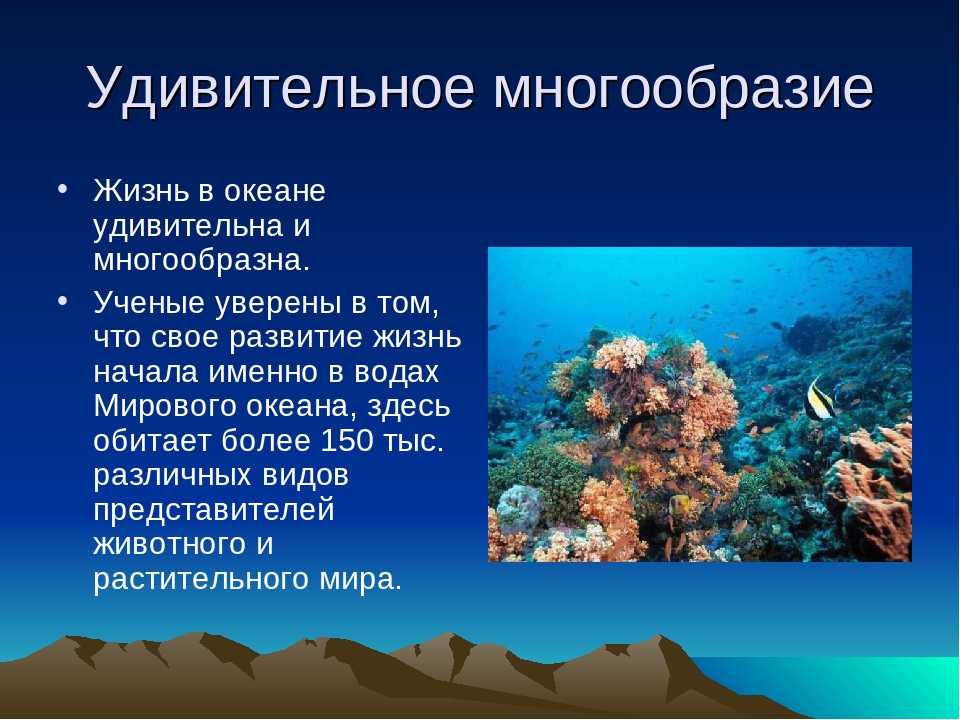 Условия существования живых организмов в океане. Сообщение жизнь в океане. Океан информации. Особенности жизни в океане. Организмы морей и океанов.