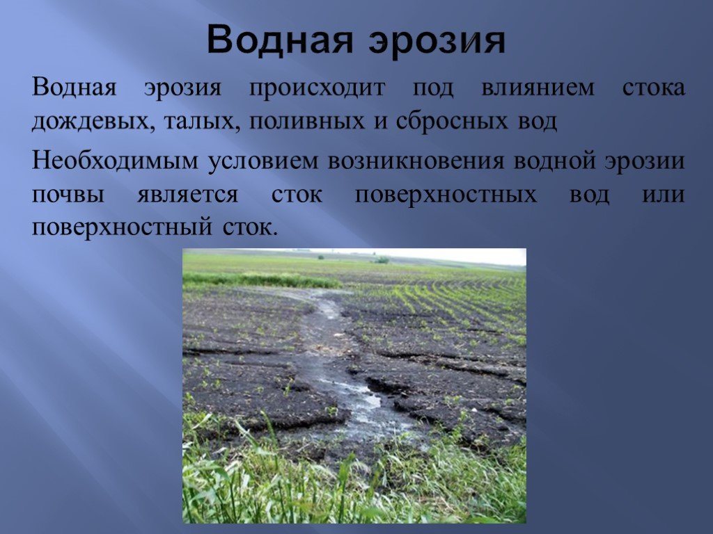 Поверхностная эрозия почв. Водная эрозия. Водная эрозия почв. Плоскостная водная эрозия. Защита почв от водной эрозии.