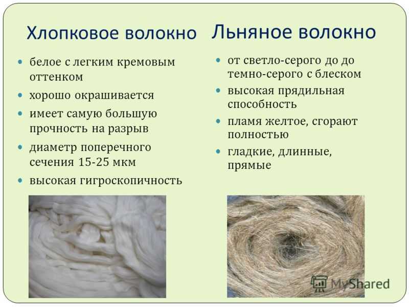 Шерсть какое число. Хлопчатобумажные и льняные ткани. Волокно из хлопка. Лен характеристика ткани. Волокна хлопка и льна.