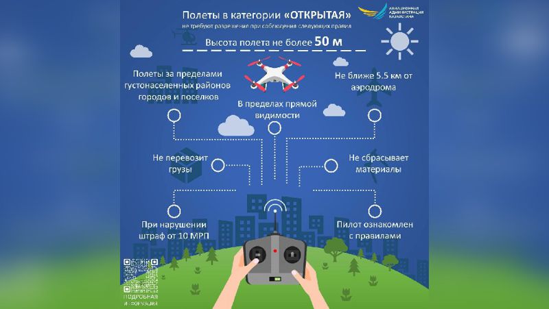 Сколько минут лягушка обдумывала план перелета на юг