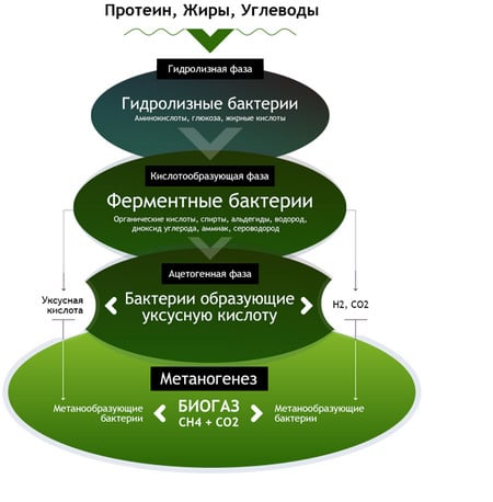 Схема выработки биогаза