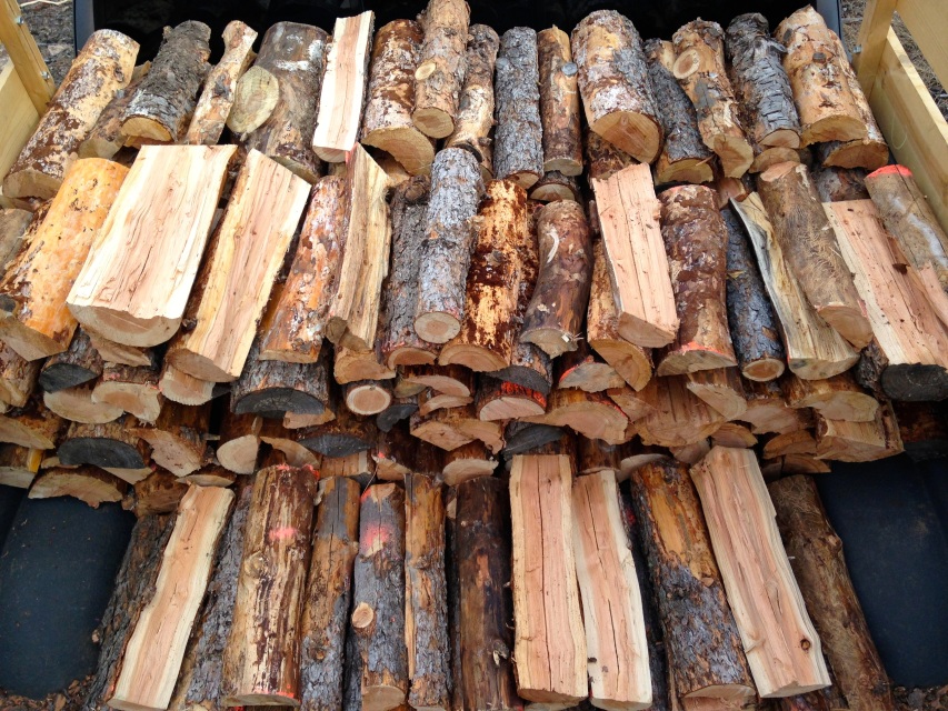 Pine firewood