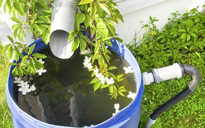 Автономное водоснабжение загородного дома: собираем дождевую воду