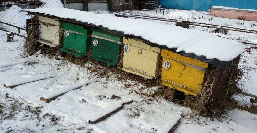 Утепление улей на зиму
