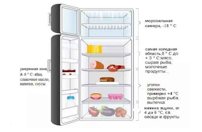 Какая температура должна быть в холодильнике и морозильной камере