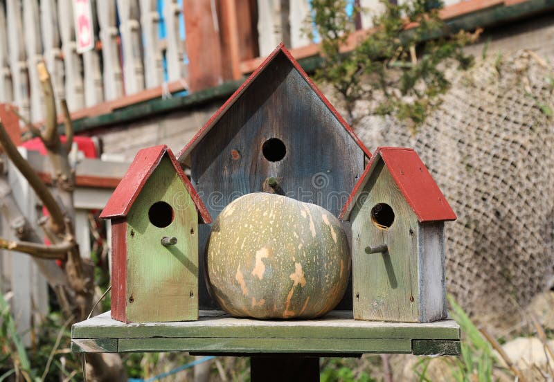 Three wooden bird houses royalty free stock images
